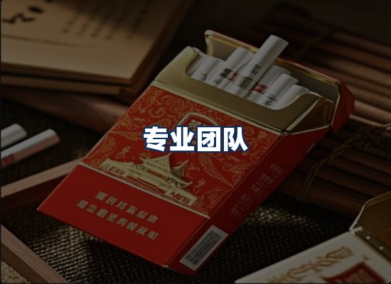 专业团队